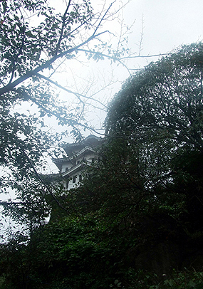 e0070320_3451034.jpg
