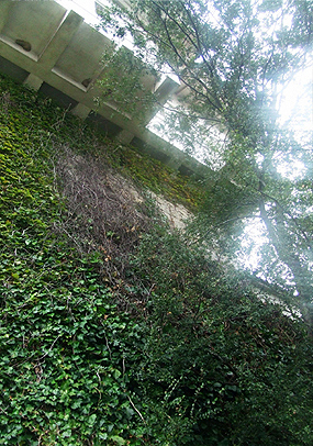 e0070320_345244.jpg