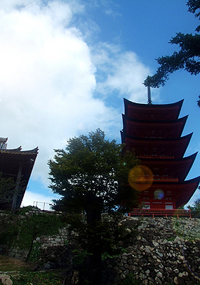 e0070320_3511467.jpg