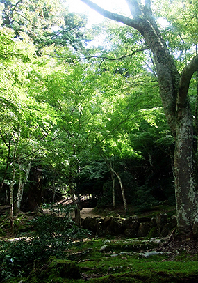 e0070320_3525746.jpg