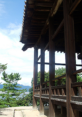 e0070320_3533265.jpg
