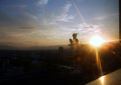e0070320_356216.jpg
