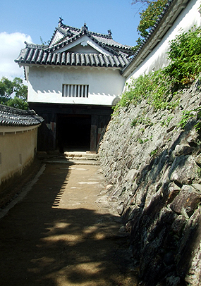 e0070320_3595868.jpg