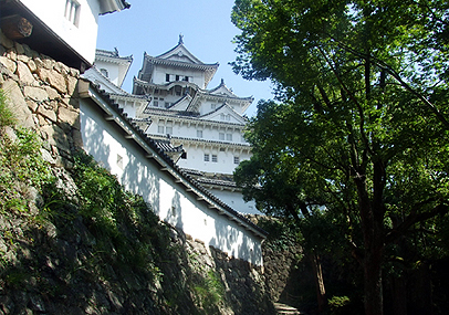 e0070320_403685.jpg