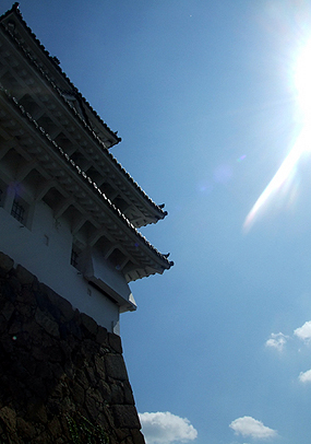 e0070320_4091.jpg