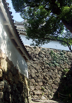 e0070320_411649.jpg