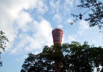 e0070320_441324.jpg