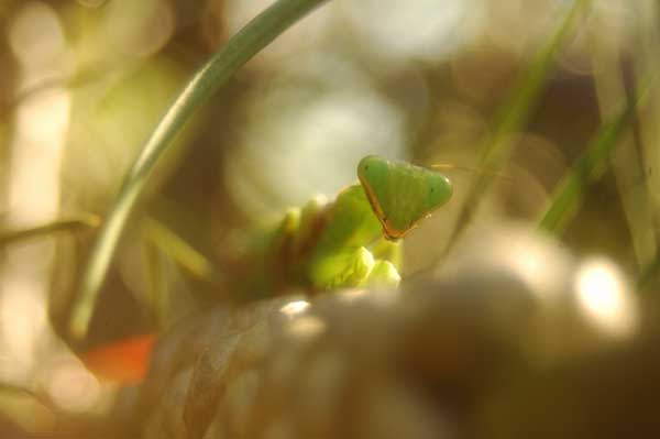 a0059621_2384553.jpg
