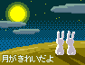f0107724_623446.gif