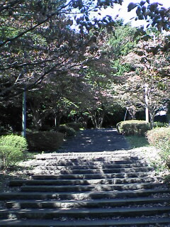 a0054228_23294358.jpg