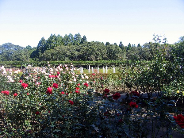 f0042441_18287.jpg