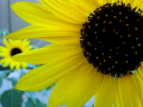 a0024250_20243684.jpg