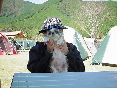 富士山の麓でのんびり_d0068151_16342454.jpg