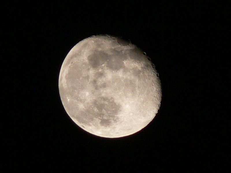 c0059854_22503788.jpg