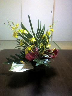a0077357_1444190.jpg