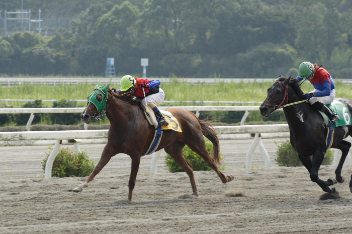 2006年9月30日（土） 高知競馬_a0077663_13245971.jpg