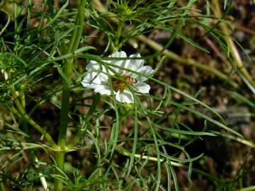 e0095468_2249075.jpg