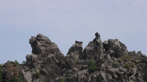 桜島の素材_a0010575_1033290.jpg