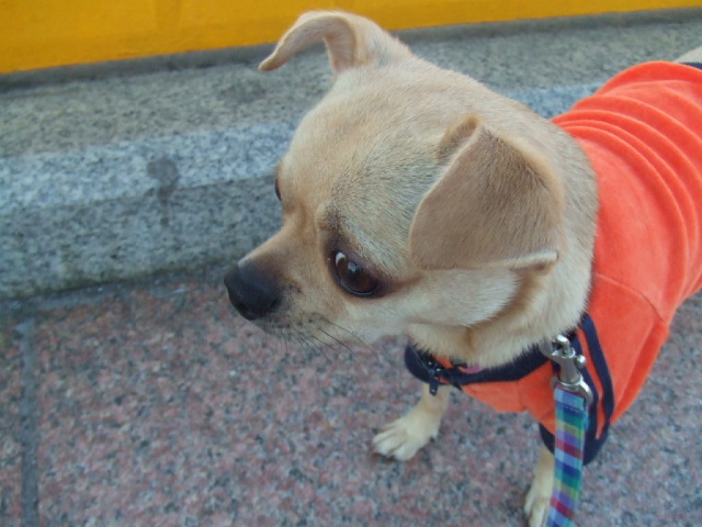 a0067882_0261973.jpg