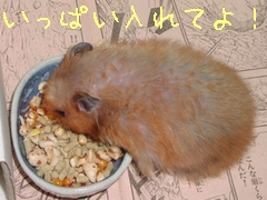 b0016983_18415848.jpg
