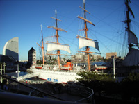 a0023085_185867.jpg