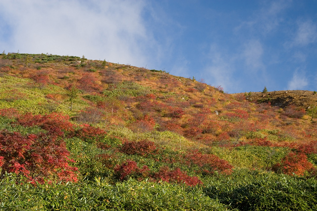 群馬県 白根山　弓池　長野県 志賀高原_c0092386_19535865.jpg