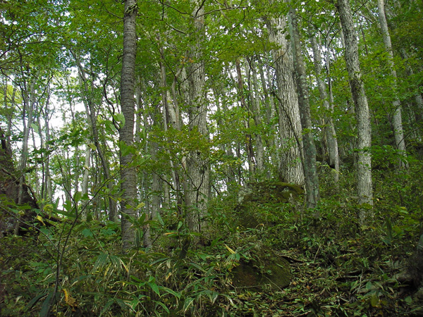 a0043193_21355480.jpg