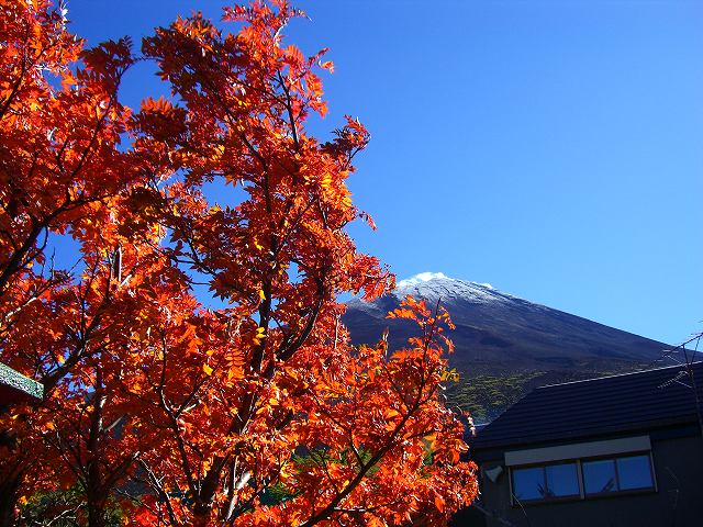 秋の訪れ・・・＠富士山_e0066495_11554631.jpg