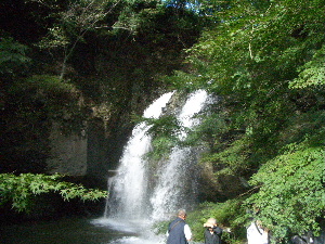 d0080998_16434198.jpg