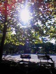 f0030500_1826112.jpg
