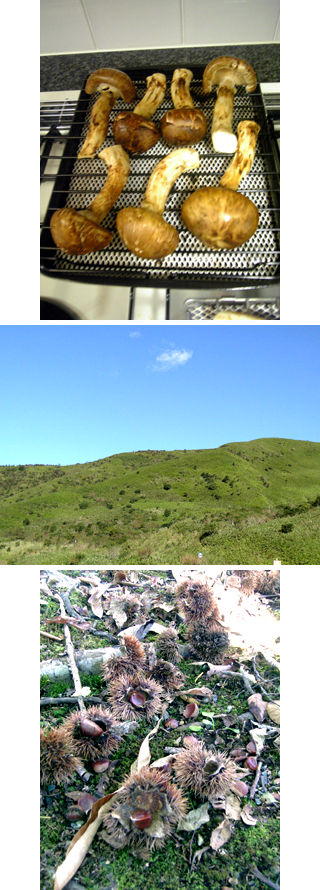 a0000002_17563081.jpg