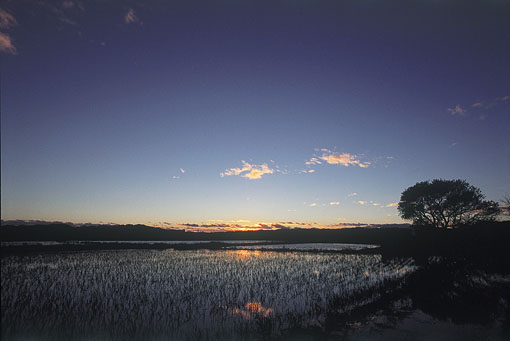 田園夕景_d0083502_15381086.jpg