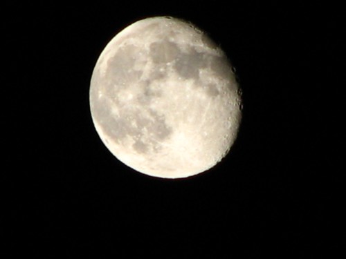 f0020302_12323553.jpg