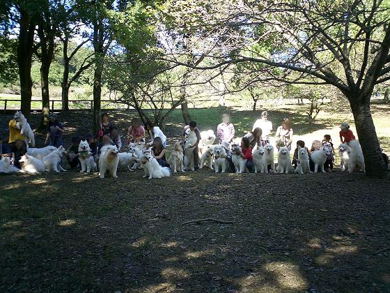 相模湖オフっ！（遅くなってゴメンね）_f0025103_14445885.jpg