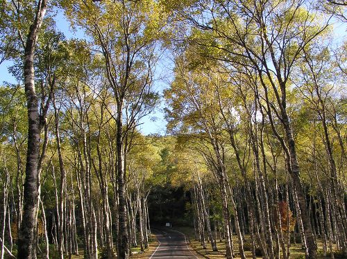 初秋の美ヶ原高原　　～長野松本市／長和町～_c0055515_22282660.jpg