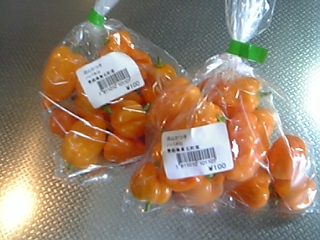 f0083726_12445897.jpg