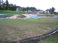 a0038930_10255335.jpg