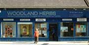 Shop:  Woodland Herbs_a0057830_15594779.jpg
