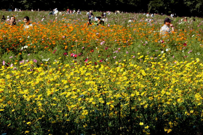 e0095142_2232890.jpg