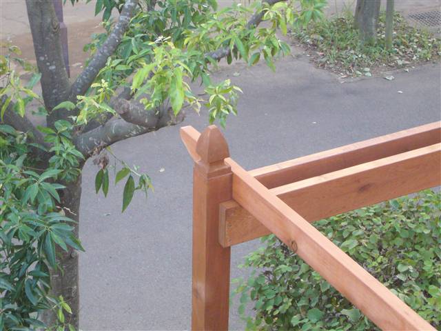 e0006943_02744.jpg