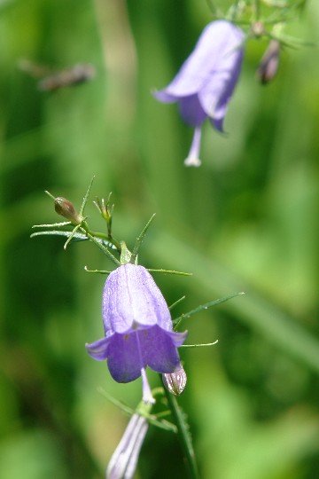 b0088444_0511555.jpg