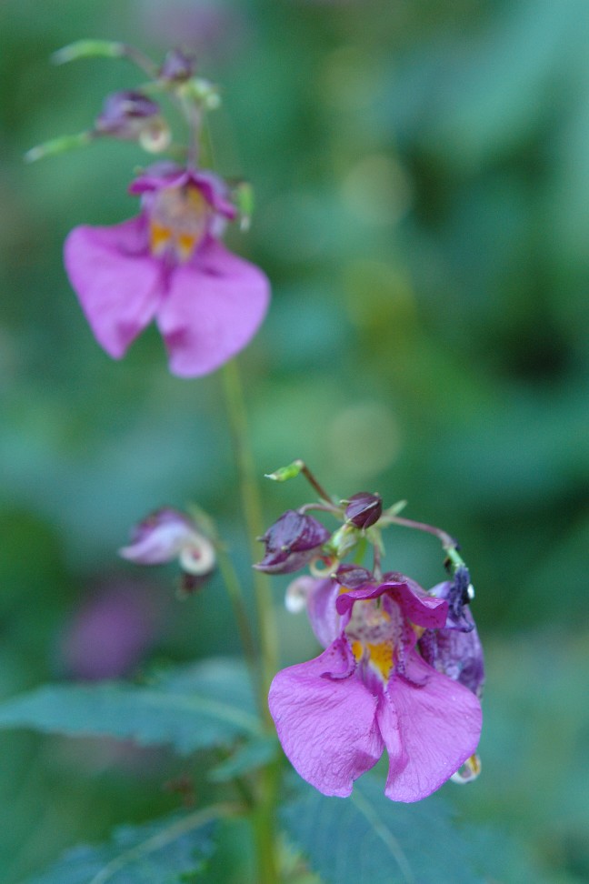 b0088444_0515479.jpg
