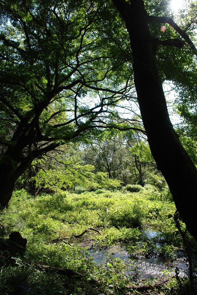 b0088444_056585.jpg