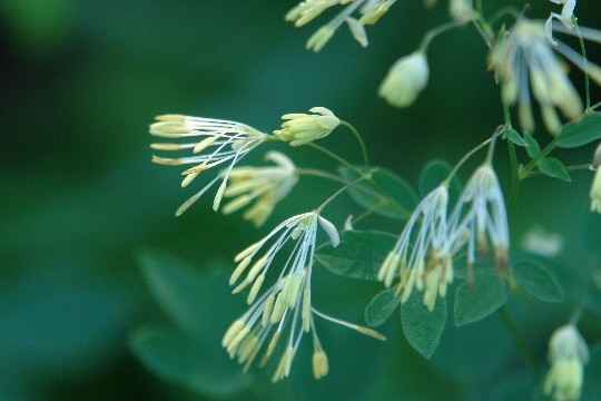 b0088444_0584018.jpg