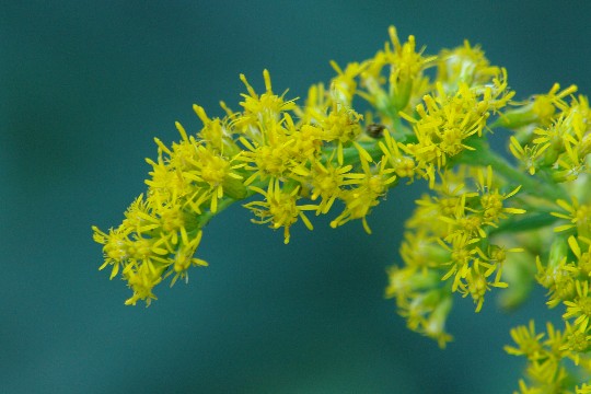 b0088444_105114.jpg