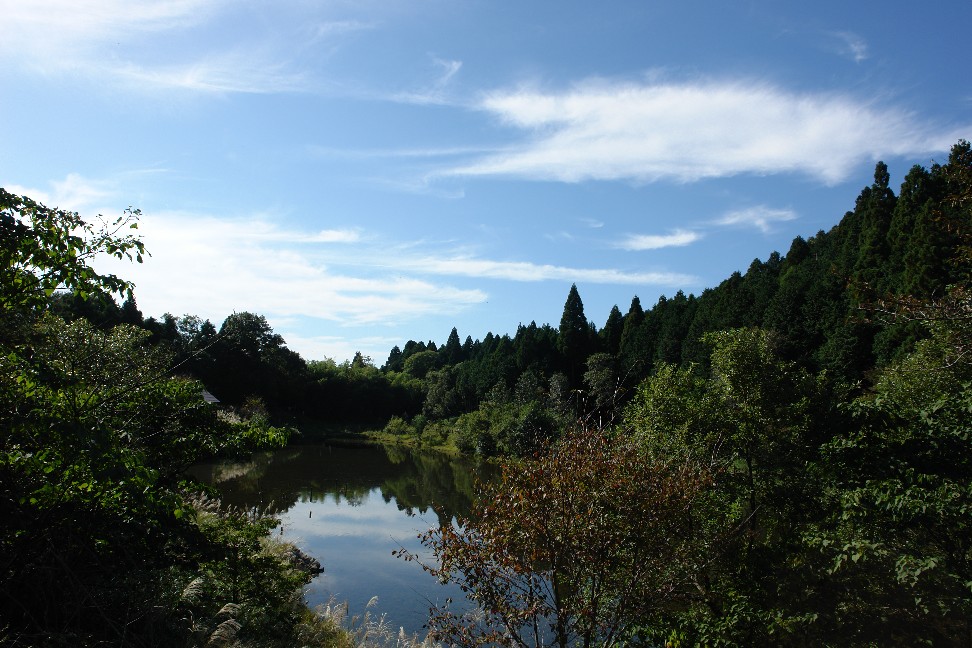 b0088444_113448.jpg
