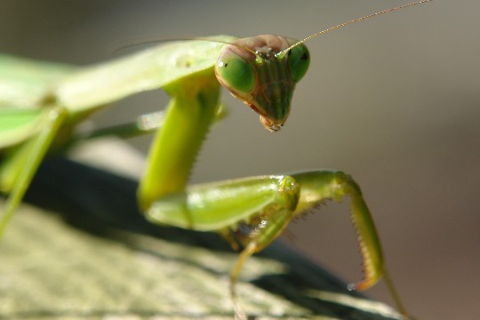 b0088444_115127.jpg