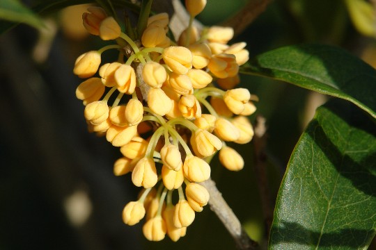 b0088444_1185684.jpg