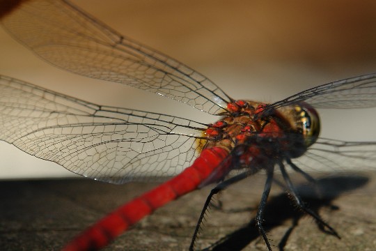 b0088444_121968.jpg