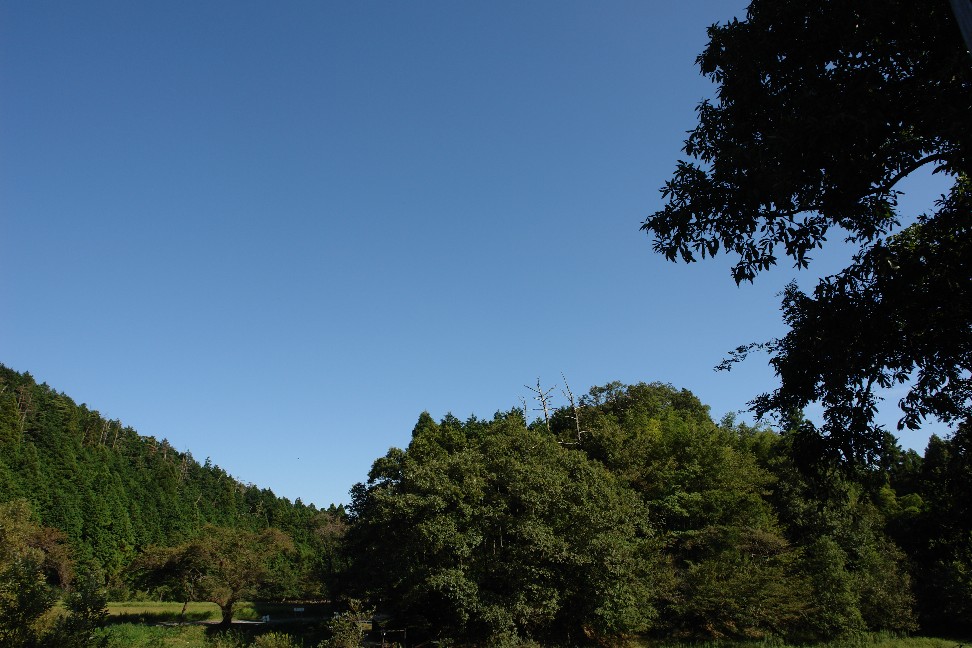 b0088444_153210.jpg